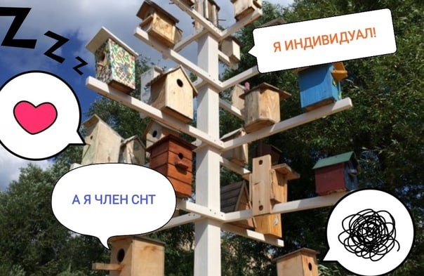 Права и обязанности садоводов Права и обязанности садоводов